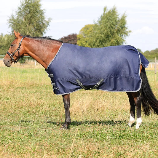 StormX Empra 100 Turnout Rug