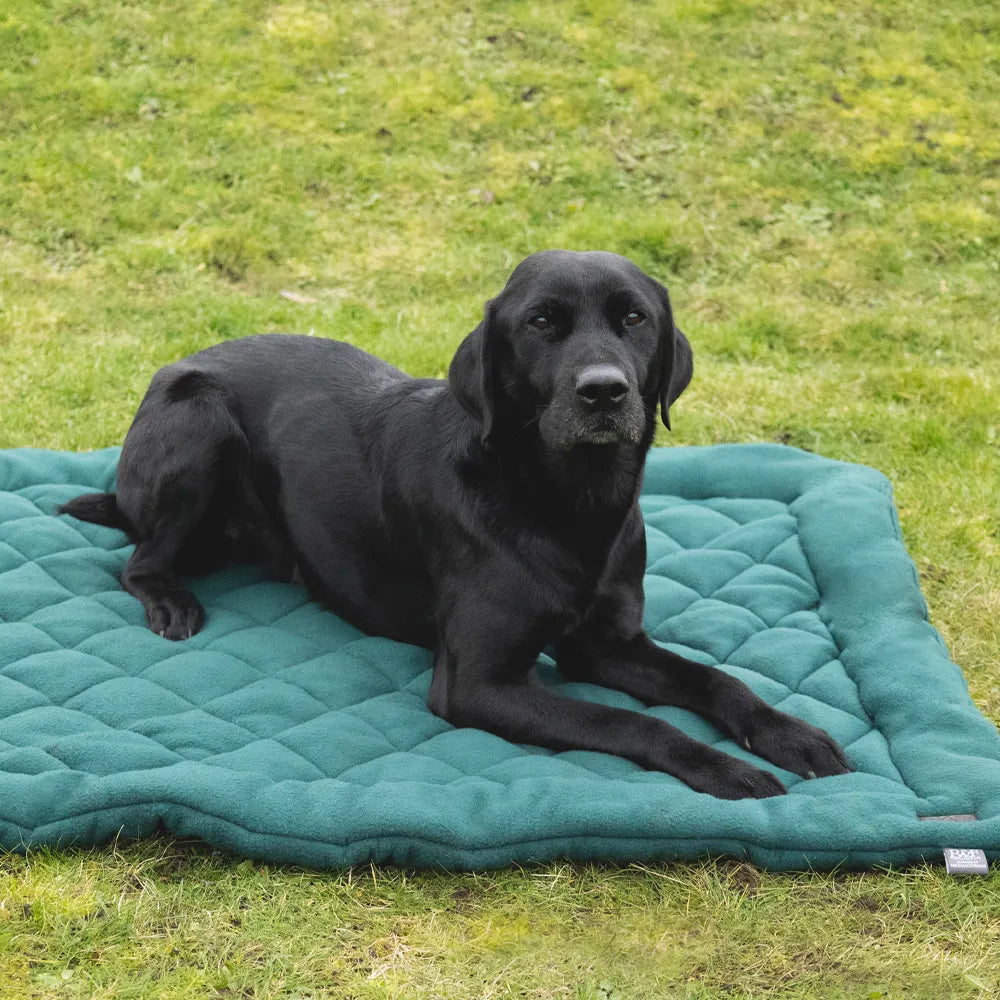 Benji & Flo Essential Fleece Dog Bed