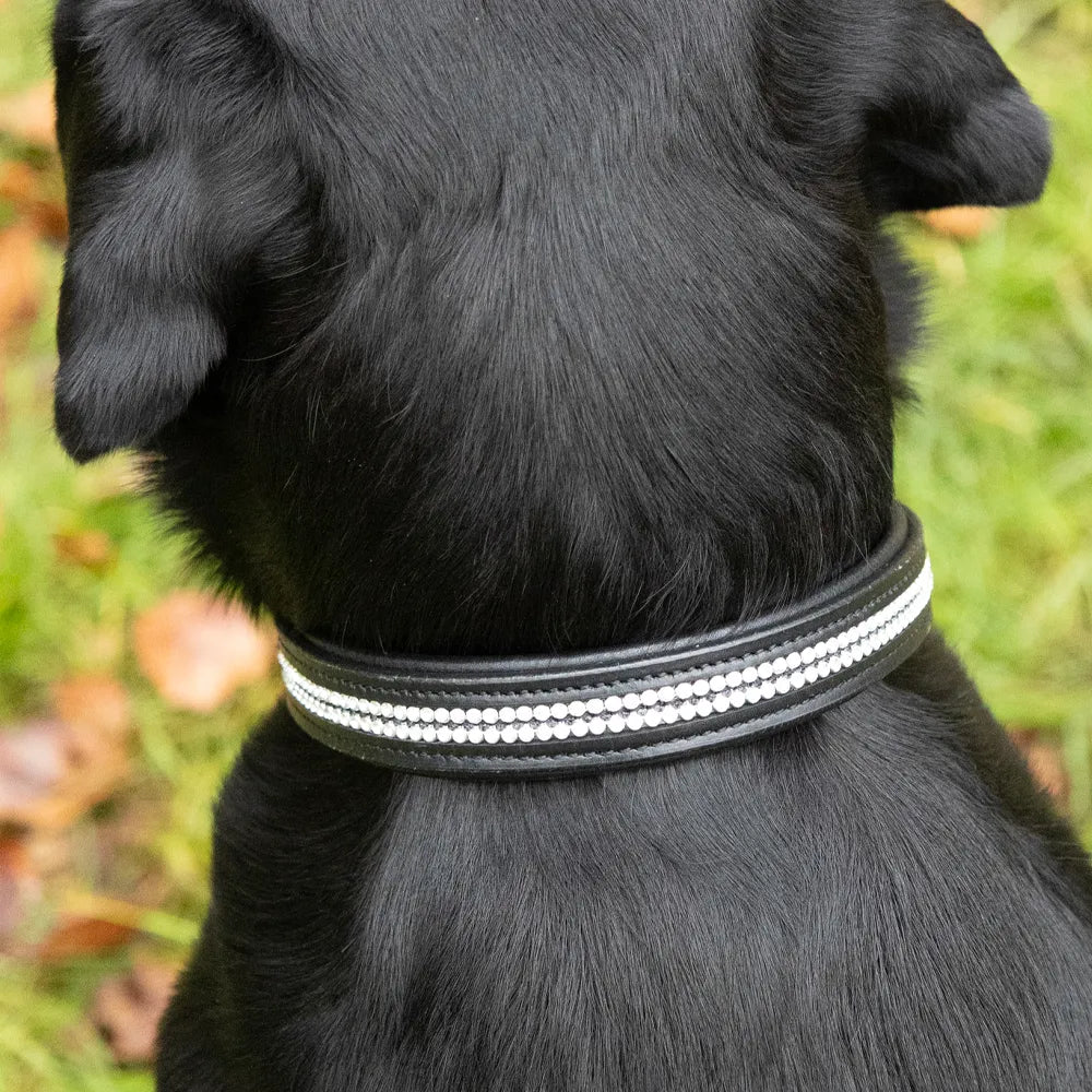 Benji & Flo Dazzling Diamante Dog Collar