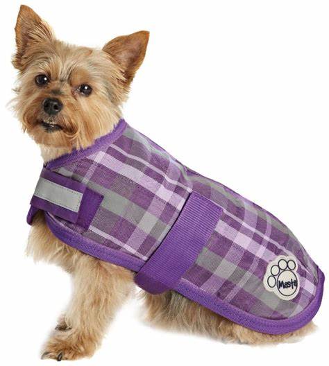 Masta Quilted Dog Coat