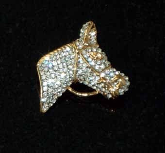 Horse Head With Bridle Brooch