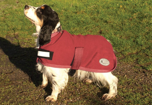 Fleece Dog Coats