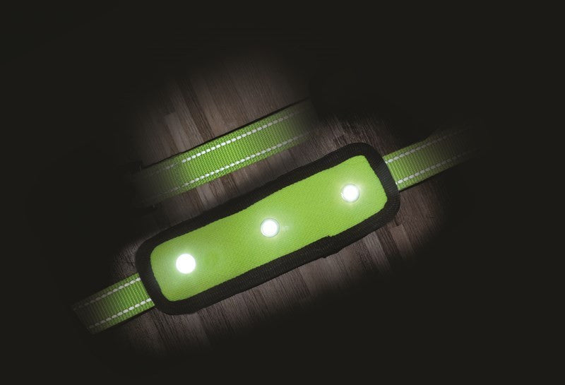 Woofmasta Flash Dog Collar