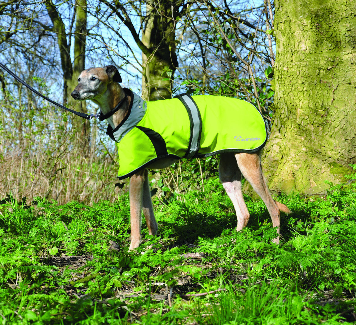 Woofmasta Flash Dog Coat