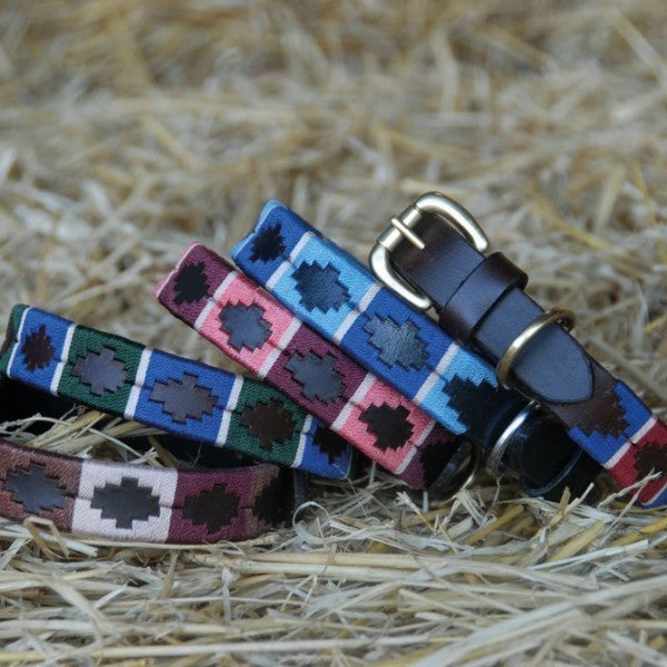 Chukka Dog Collars