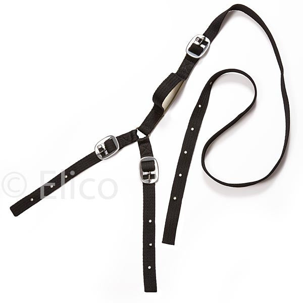 Daisy Reins