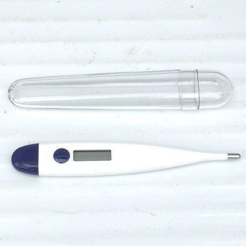 Thermometer Digital