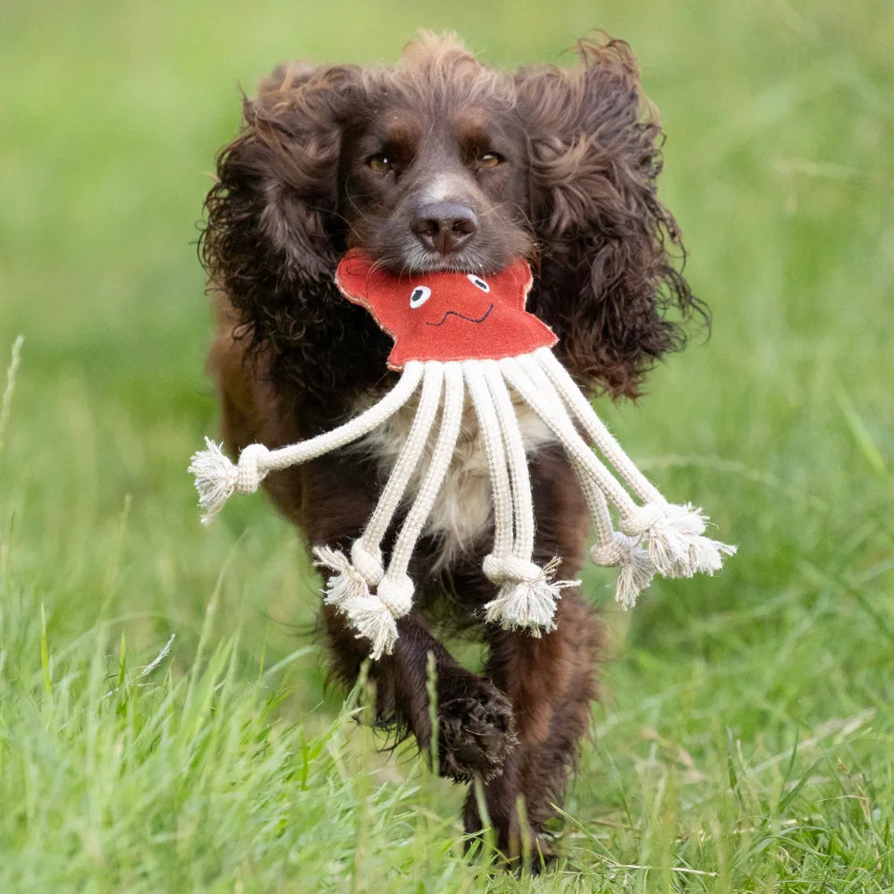 Benji & Flo Crazy Faces Dog Toys