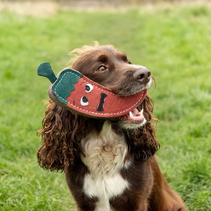 Benji & Flo Crazy Faces Dog Toys