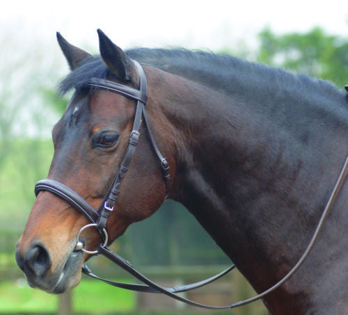 Cambridge Bridle With Rubber Reins