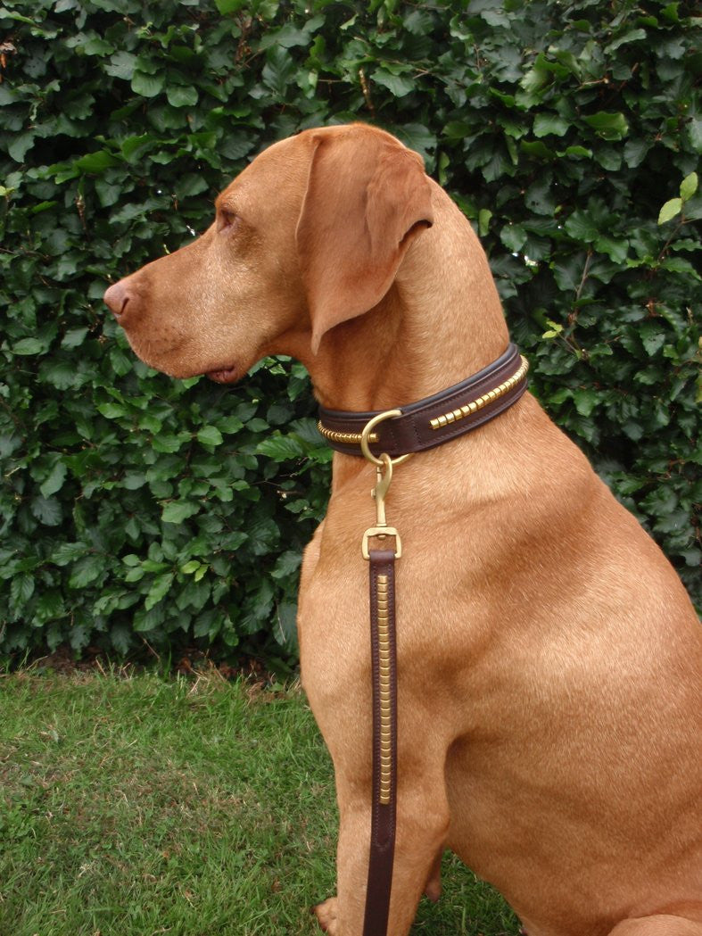 Dog Collar Leather Clincher