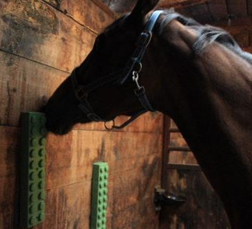 Horse Wall Scratcher
