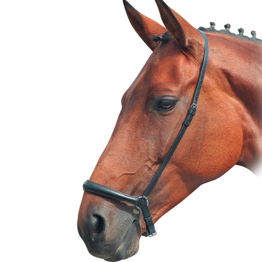 Drop Noseband