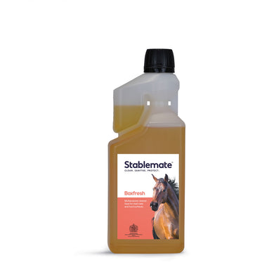 Stablemate Boxfresh - 1 Lt