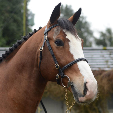 Mackey Classic Showing In-hand Plain Bridle