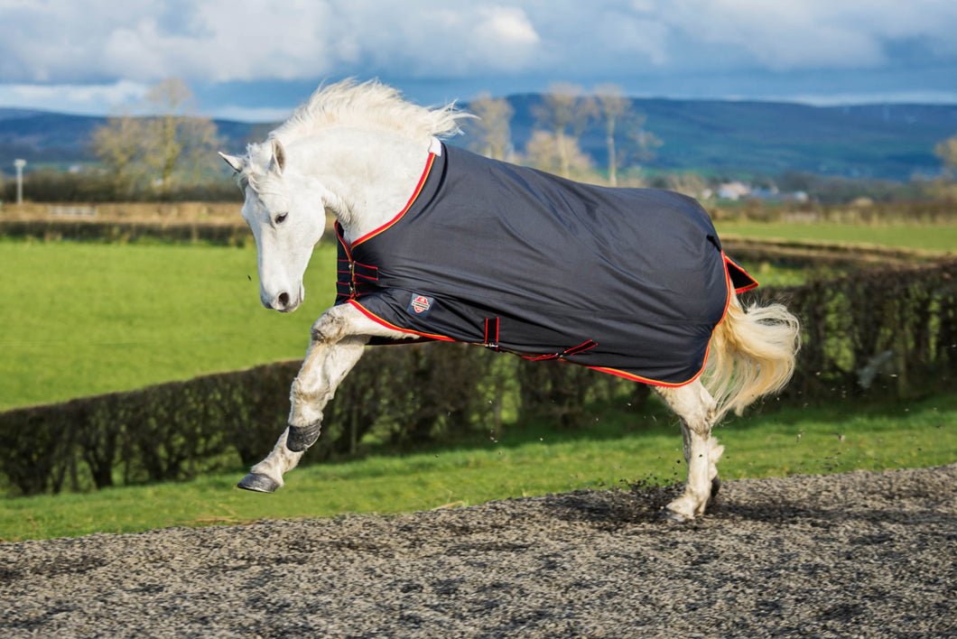 Equisential Turnout Standard Medium