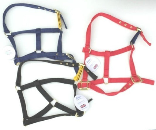 Eclipse Padded Release Headcollar