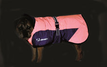 Woofmasta Secret Flash Dog Coat