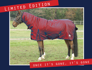 Rhinegold Winter Spot Rug