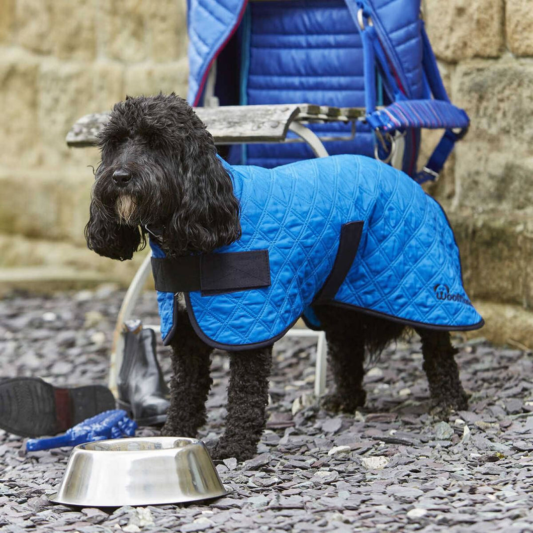 Woofmasta Dog Coat Cooling Blue