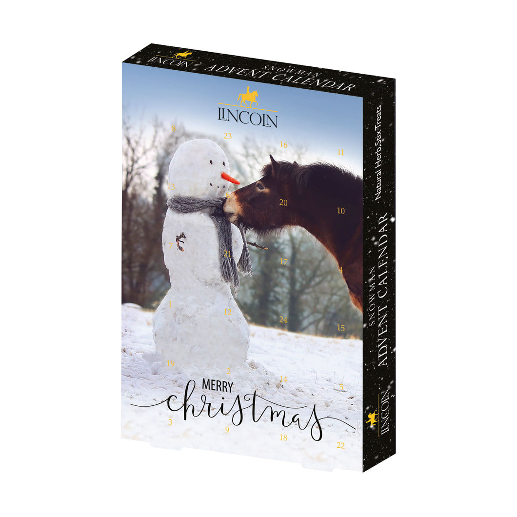 Snowman Christmas Advent Calendar