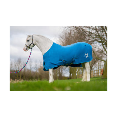 Hy Zeddy Fleece Rug