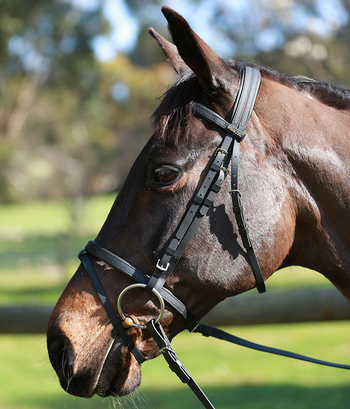 Wintec Bridle with Flash