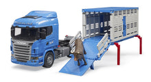 Scania R-Series livestock transporter with one cow
