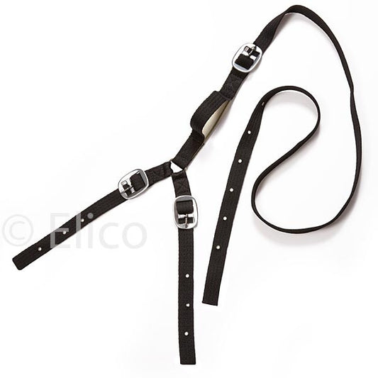 Daisy Reins