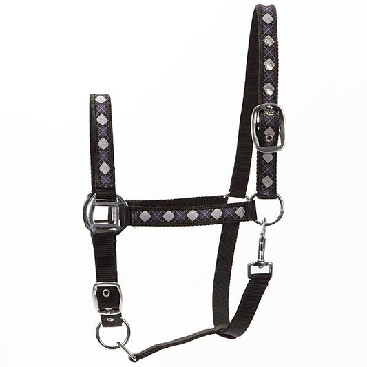 Elico Eskdale Headcollar