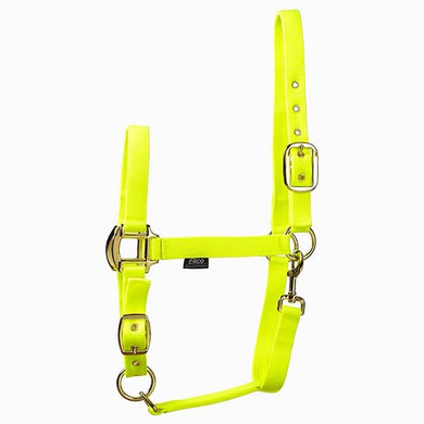 Fleetwood Headcollar - Bright Pony Only