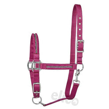 Ullswater Headcollar and Rope