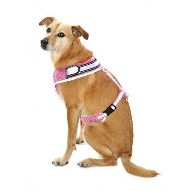 Equisafety Flashing Adjustable Dog Harness