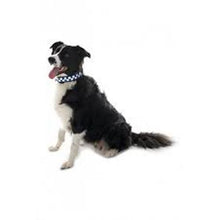 Equisafety Flashing Dog Collar