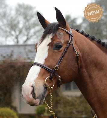Mackey Classic In-Hand Clincher Bridle