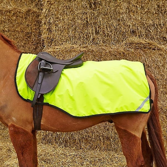 Elico Garrowby Fluorescent Exercise Sheet